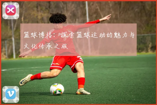 篮球博格：探索篮球运动的魅力与文化传承之旅
