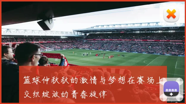 篮球仲秋秋的激情与梦想在赛场上交织绽放的青春旋律