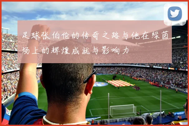 足球张伯伦的传奇之路与他在绿茵场上的辉煌成就与影响力
