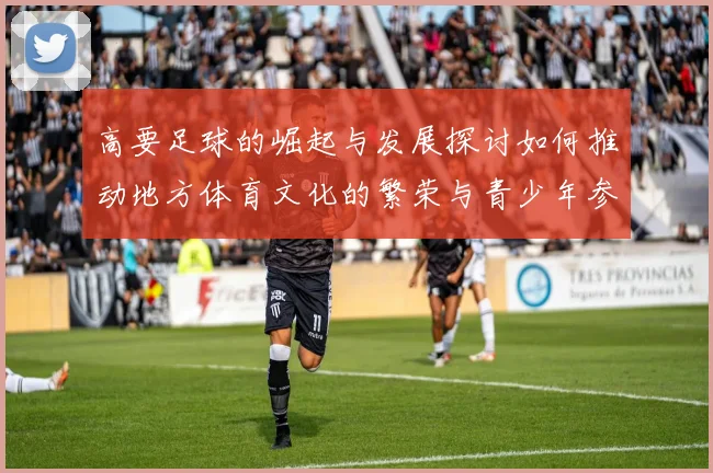 高要足球的崛起与发展探讨如何推动地方体育文化的繁荣与青少年参与