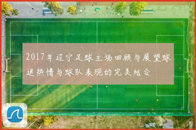 2017年辽宁足球主场回顾与展望球迷热情与球队表现的完美结合