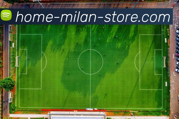 米兰体育APP 封面图